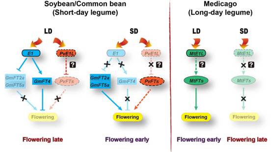 E:\桌面--论文（总）\综合图表\E1-function-Scientific reports\SR-Revised-2\JEPG格式\Figure 7.jpg